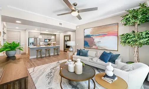 Beautiful kitchen and living areas