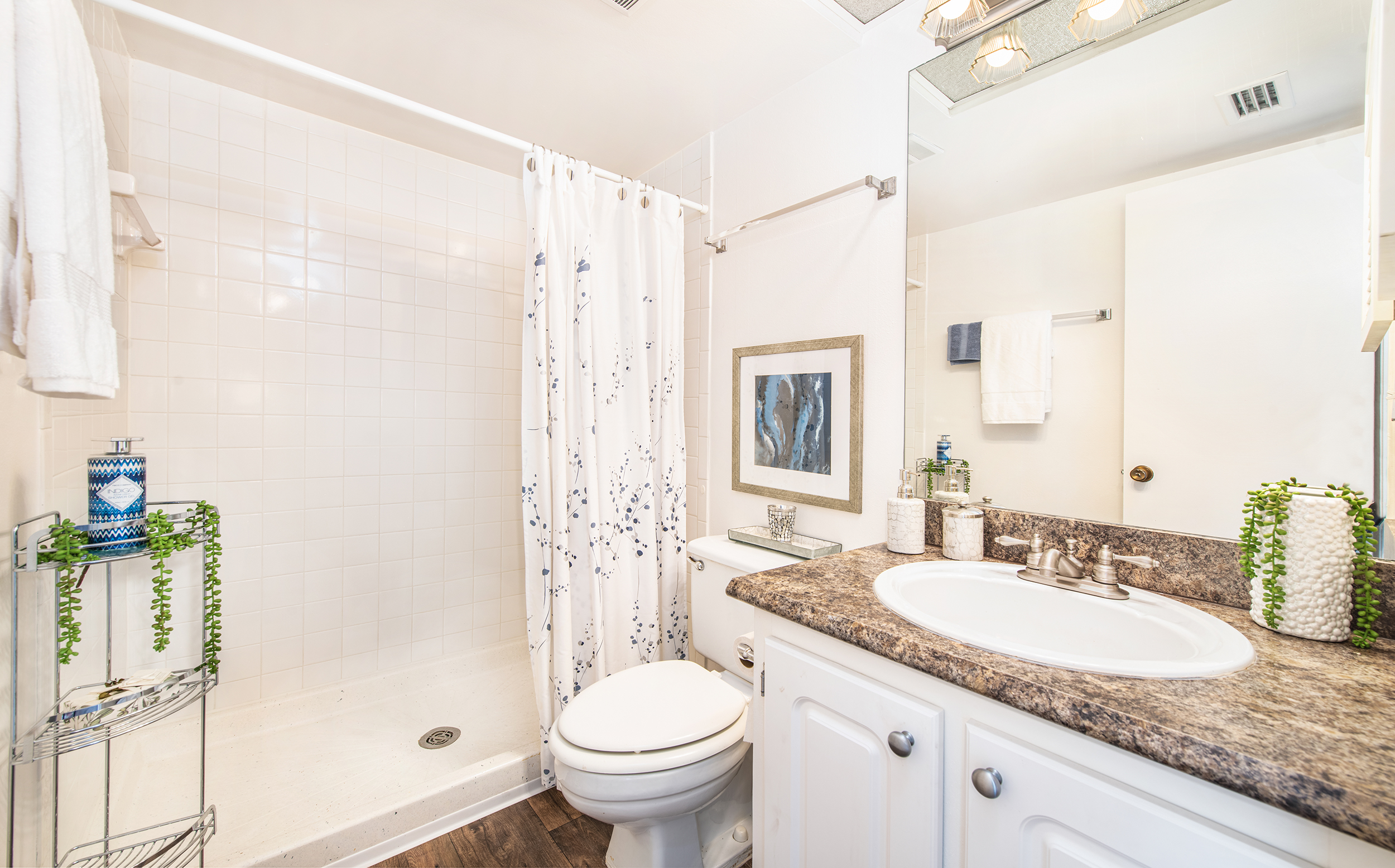 MAA Carrollwood Luxury Apartments in Tampa