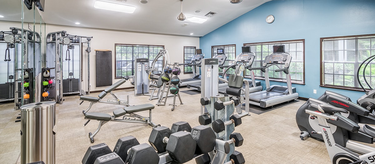 MAA Hyde Park Newly Renovated Luxury Apartments Tampa