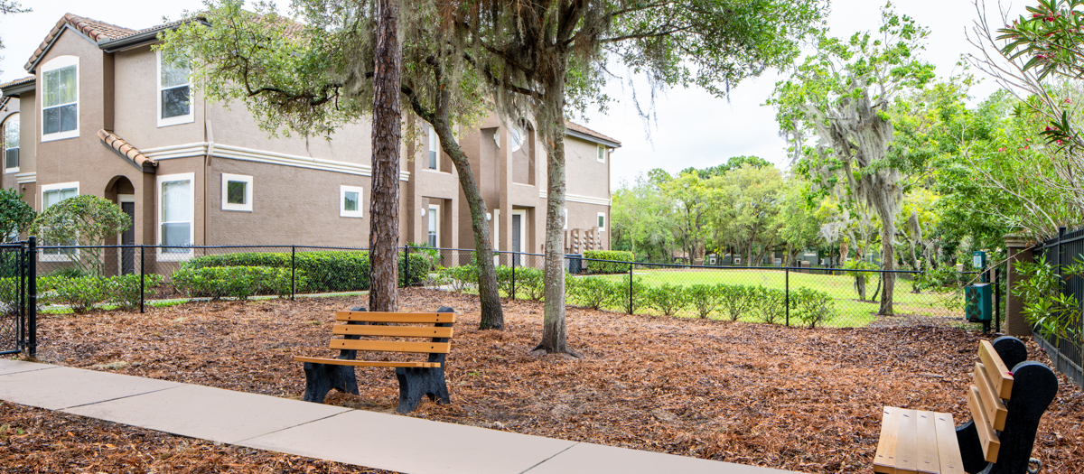 MAA Palm Harbor Palm Harbor Apartments MAA