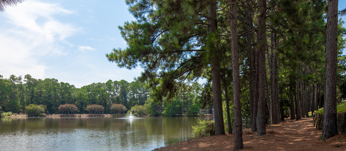 The Paddock Club Columbia Luxury Apartments Columbia, SC MAA
